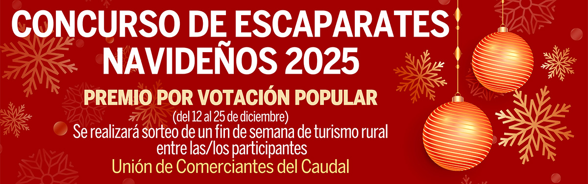 Banner Escaparates Editable