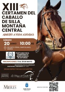 CARTEL CONCURSO Caballo Silla 2026