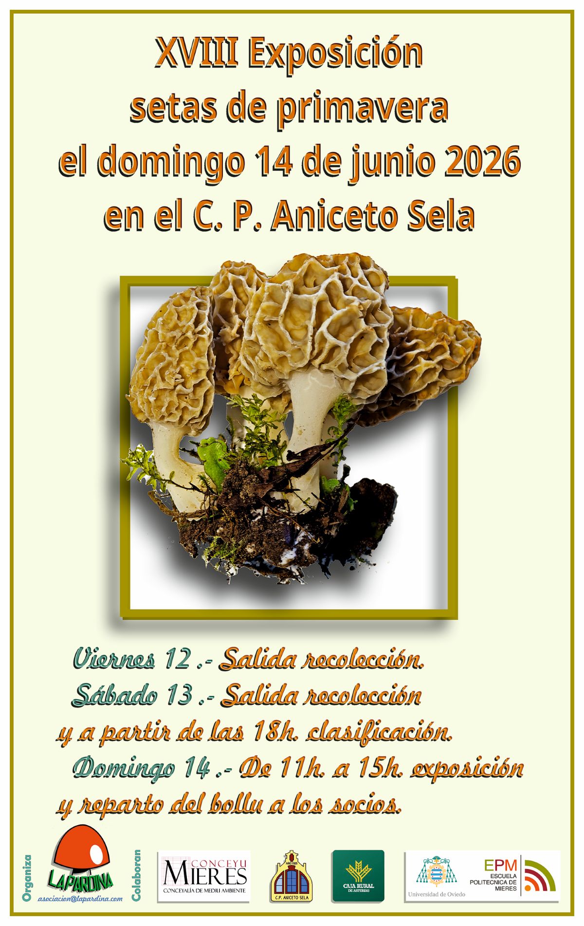 Cartel Expo Setas Primavera 2026