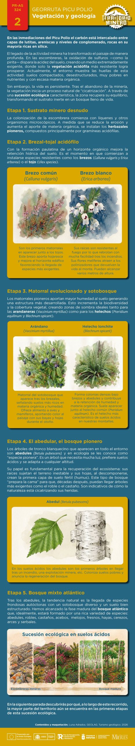 2 Vegetacion
